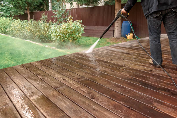 Best Roof Washing  in Harvest, AL